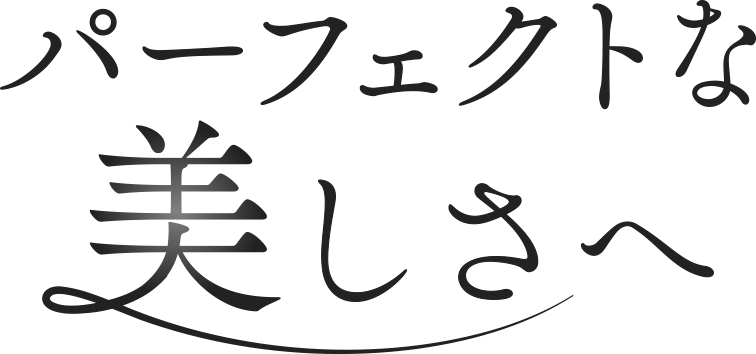 パーフェクトな美しさへ