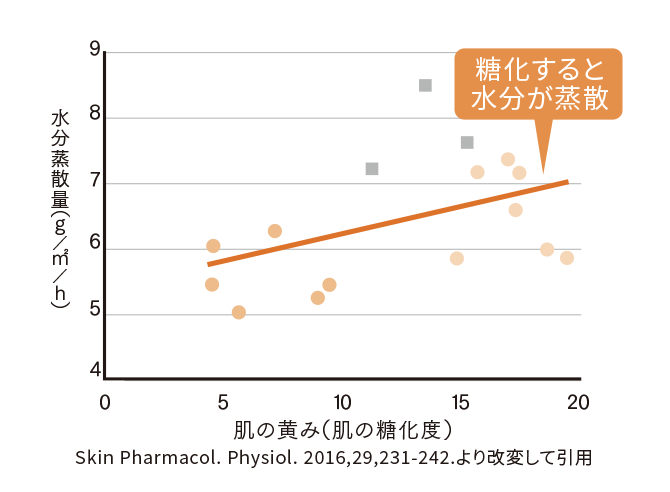 こっくりなのにベタつかないから毎日使える！