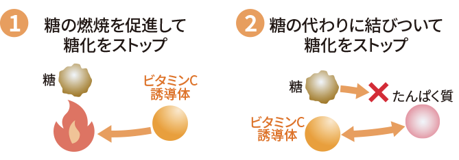 こっくりなのにベタつかないから毎日使える！