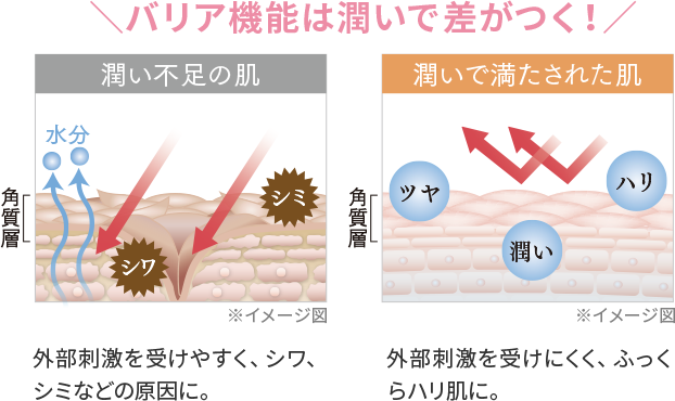 バリア機能は潤いで差がつく！