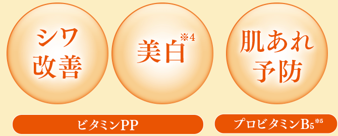 ビタミンPP:シワ改善・美白※4 プロビタミンB5 ※5