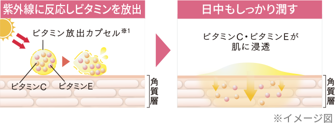 紫外線に反応しビタミンを放出、日中もしっかり潤す