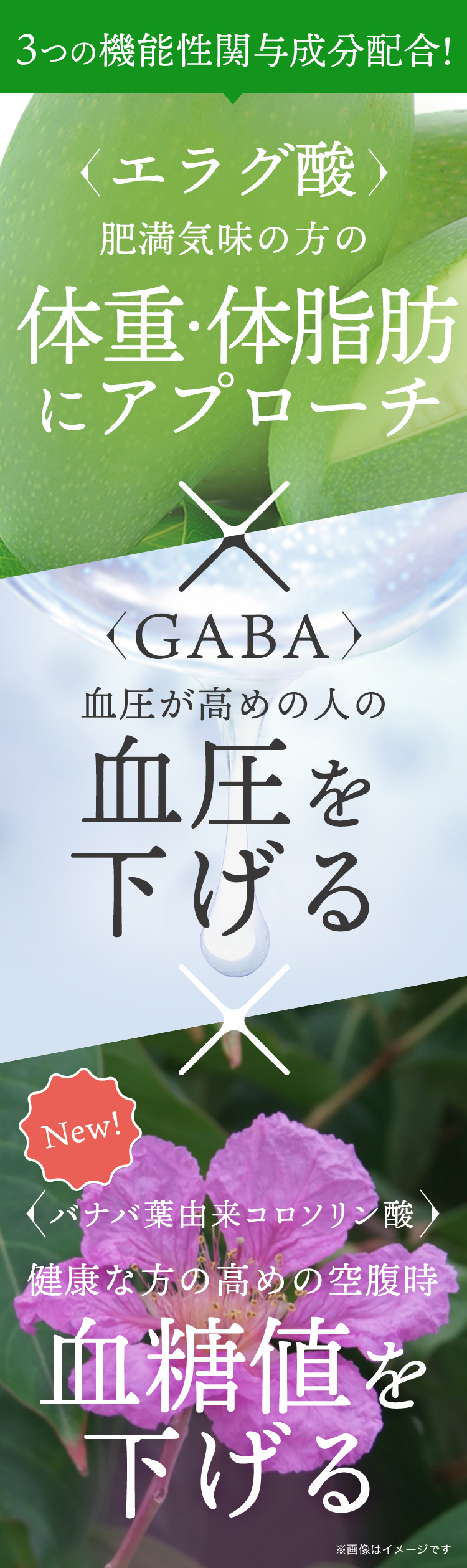３つの機能性感よ成分配合！エラグ酸が体重・体脂肪にアプローチ、GABAが血圧を下げる、バナバ葉由来コロソリン酸が空腹時血糖値を下げる