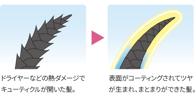 ドライヤーなどの熱ダメージでキューティクルが開いた髪。|表面がコーティングされてツヤが生まれ、まとまりができた髪。