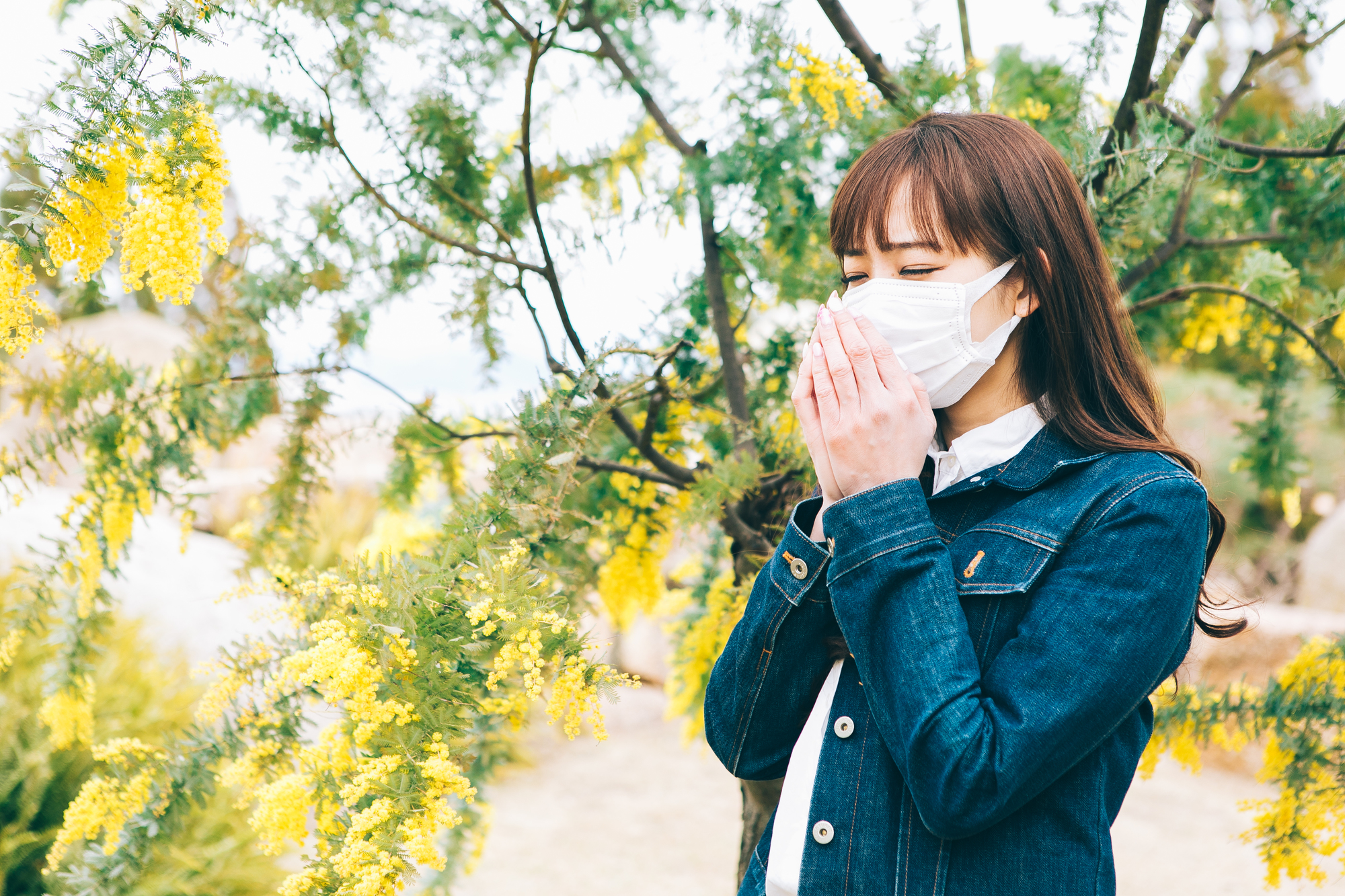 花粉の女性画像
