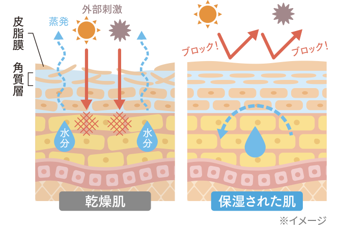 乾燥肌と保湿された肌の外部刺激の図