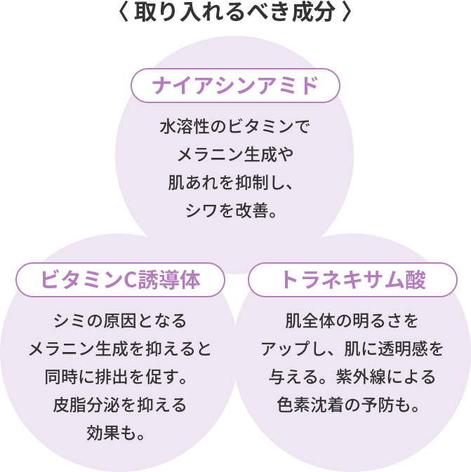 取り入れるべき成分の図