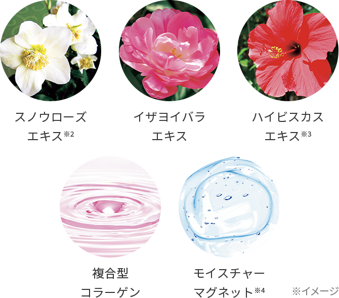 保湿成分のイメージ
