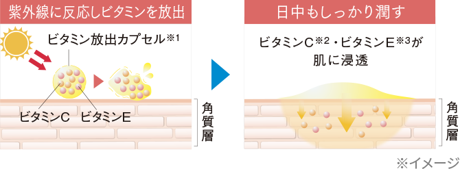 ビタミンC・Eを放出するイメージ