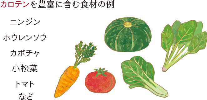 カロテンを豊富に含む食材の例