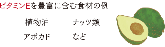 ビタミンEを豊富に含む食材の例
