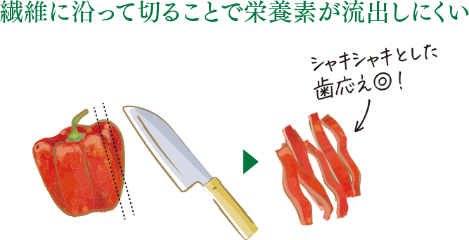 繊維に沿って切ることで栄養素が流出しにくい