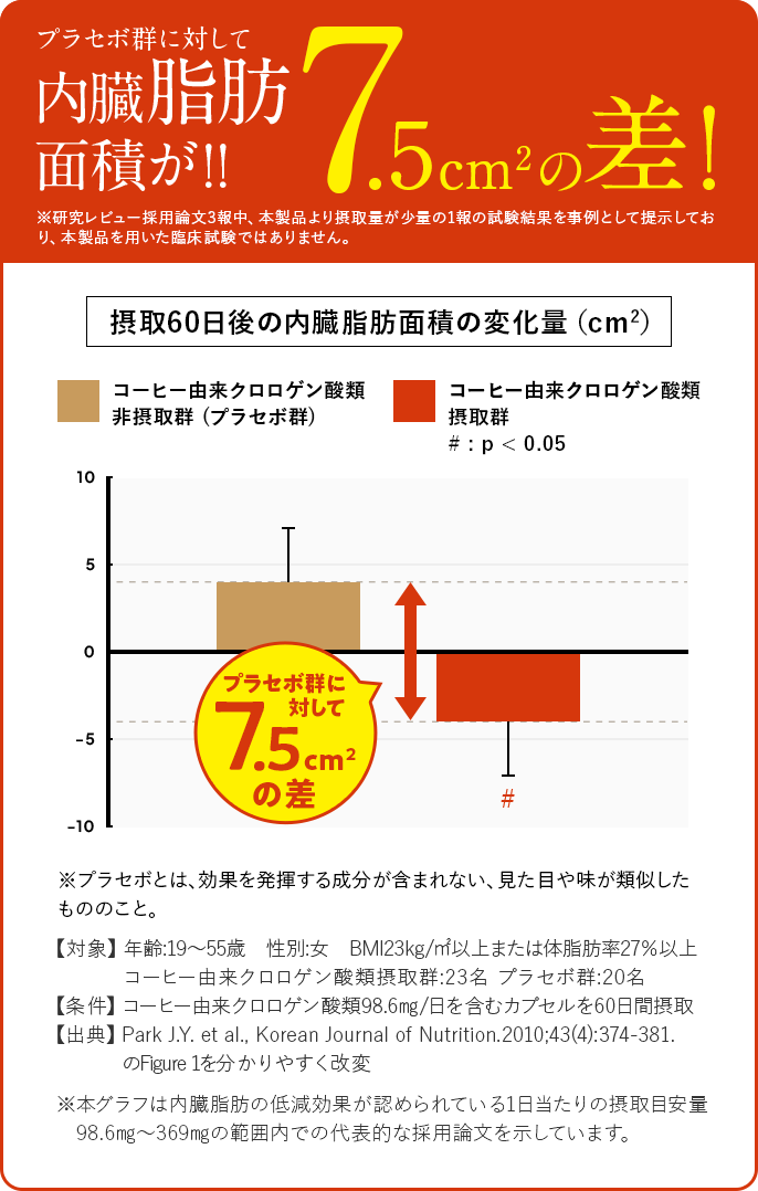 内臓脂肪面積の画像