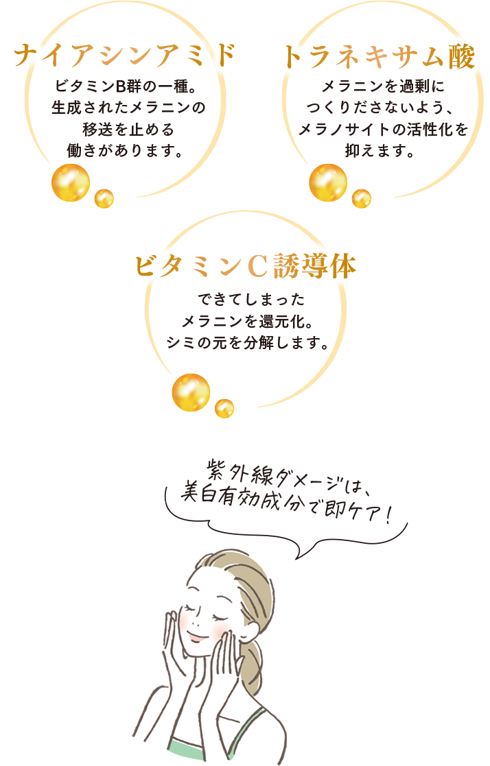 美白有効成分のイメージ