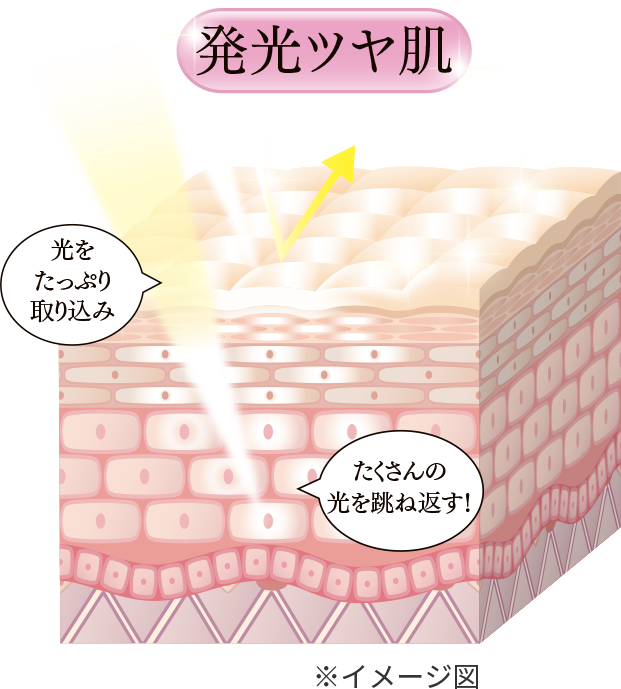 発光ツヤ肌のイメージ