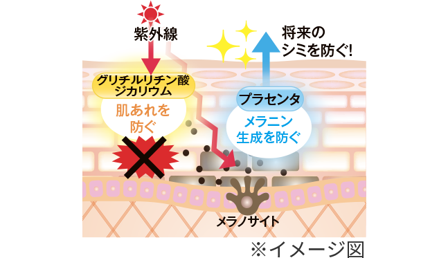 メラニン生成を防ぐプラセンタのイメージ