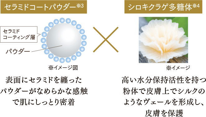 Wの保湿パウダーの説明