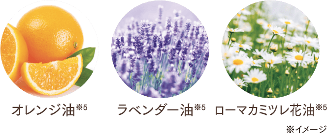 オリジナルブレンドの素材のイメージ