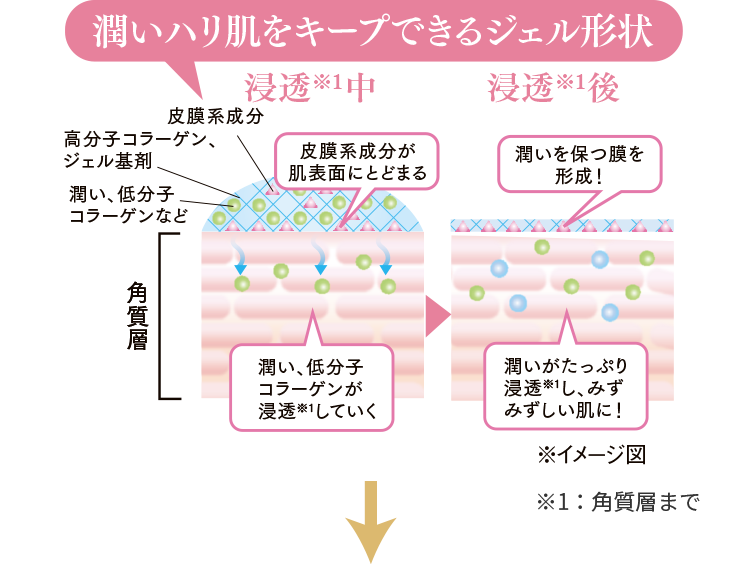 保湿成分をしっかり浸透する角質層のイメージ