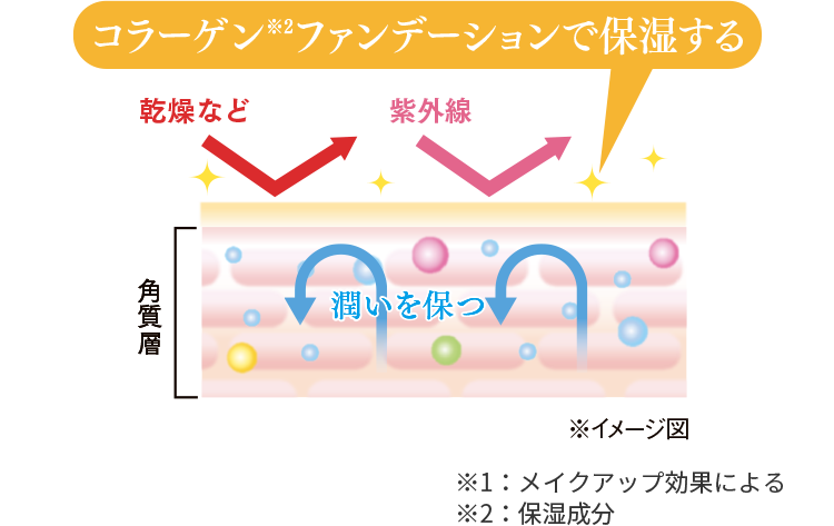 保湿される角質層のイメージ