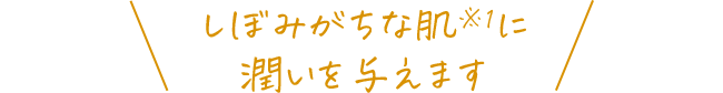 しぼみがちな肌※1に潤いを与えます
