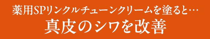 薬用SPリンクルチューンクリームを塗ると…真皮のシワを改善