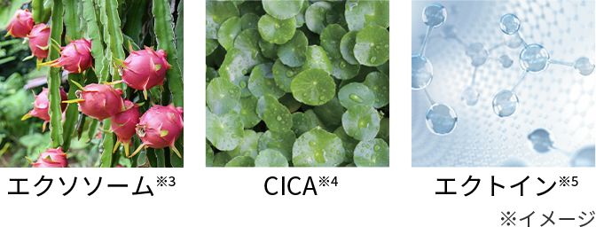 トレンド成分「エクソソーム」「CICA」「エクトイン」