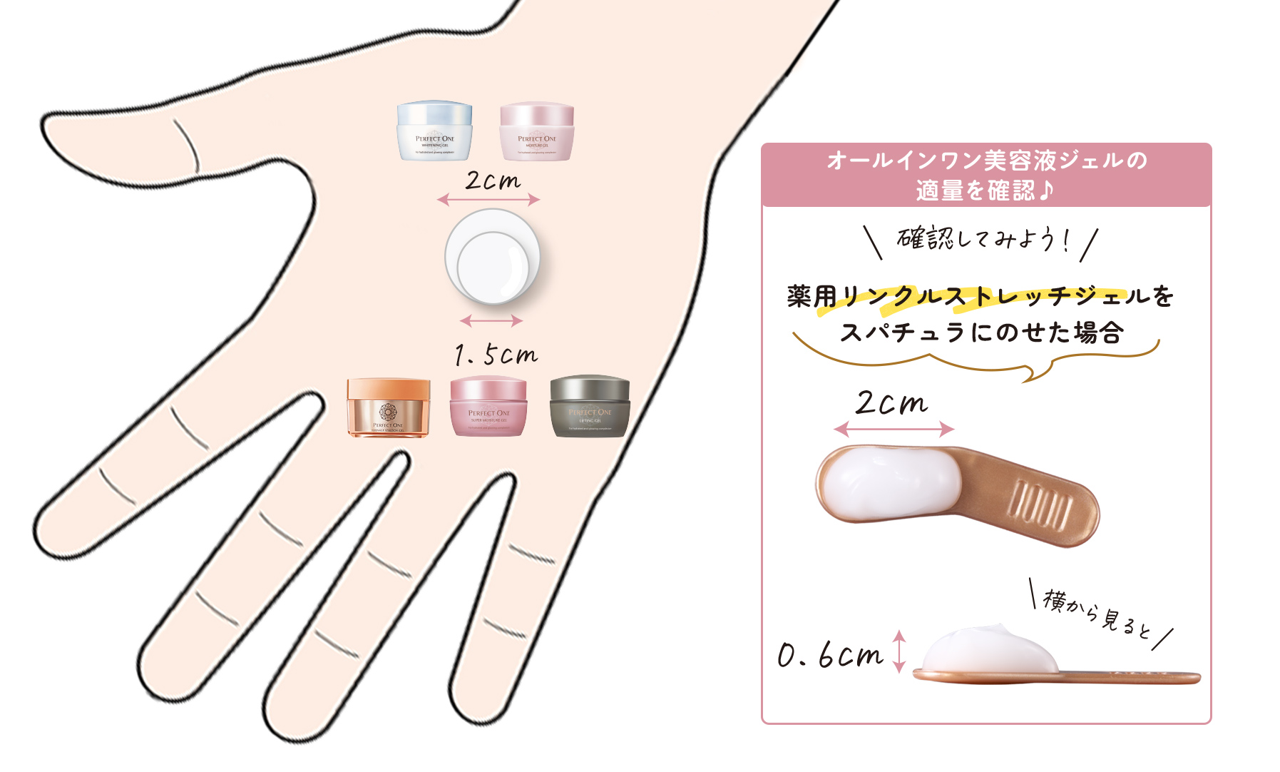 てのひら適量イメージ