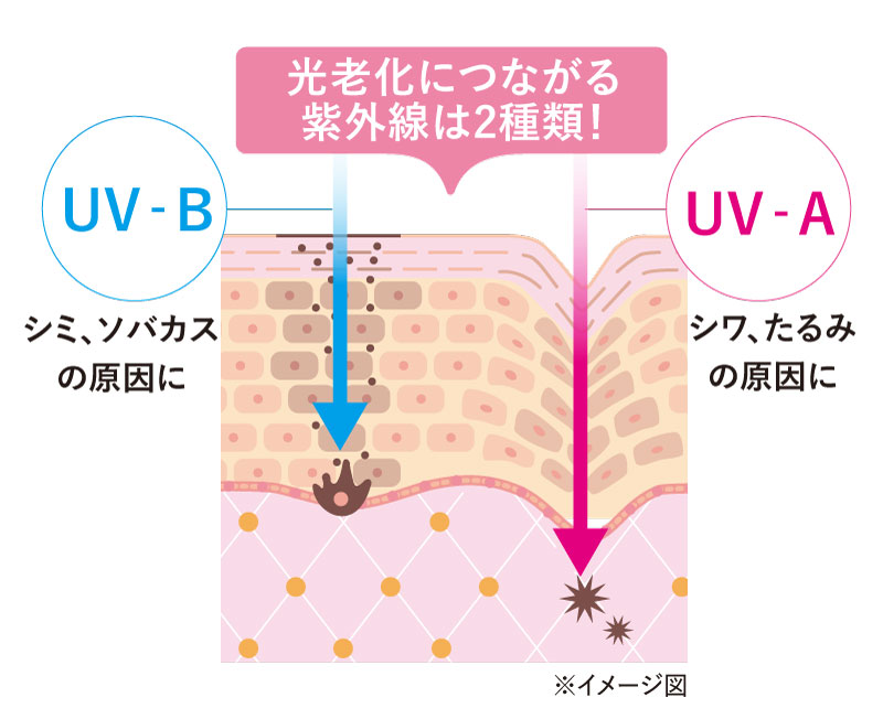 光老化につながる紫外線は2種類