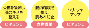 春キャベツの栄養素