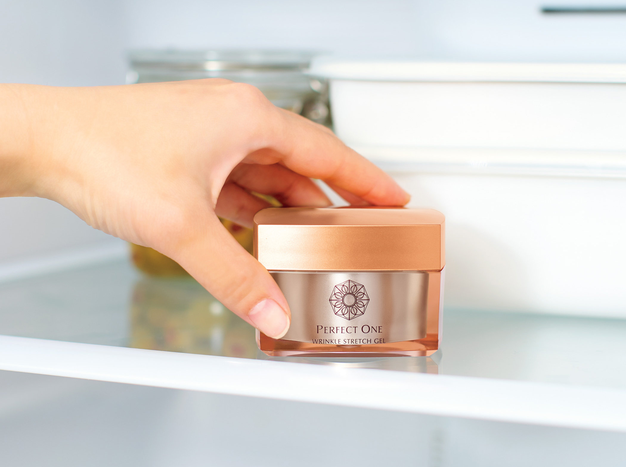 冷蔵庫のWSGイメージ