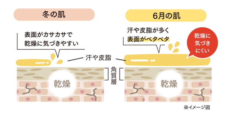 肌図