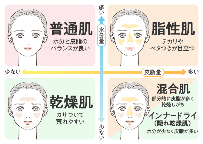 水分量と皮脂量による肌質の分類図（普通肌・脂性肌・乾燥肌・混合肌・インナードライ）