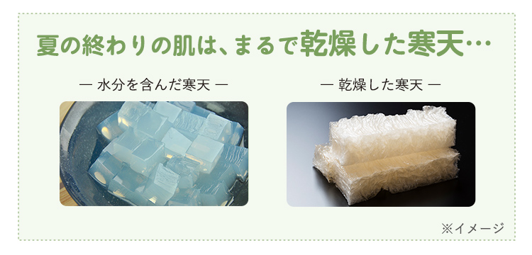 寒天の画像