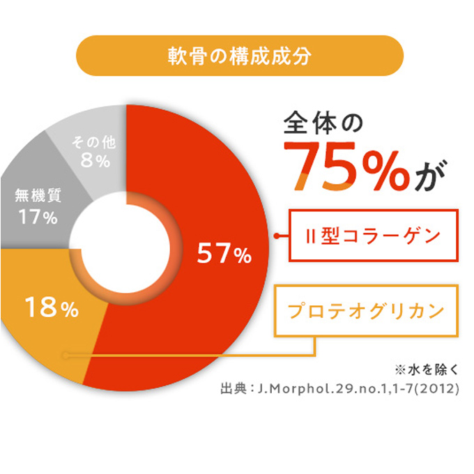 ロコアタックEXトリプルファイン 15日
