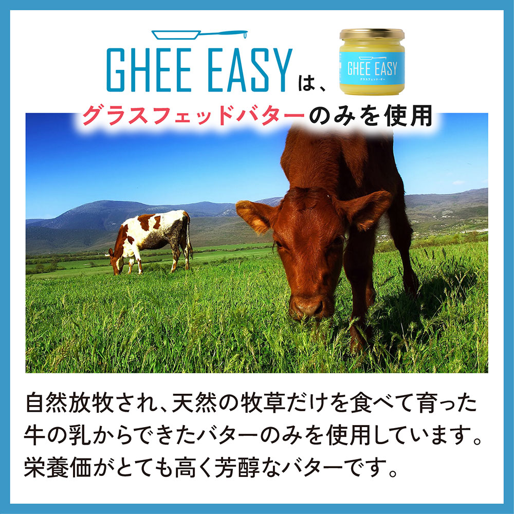 ギー・イージーA100g