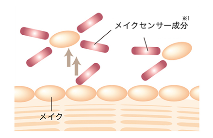 メイクセンサー成分