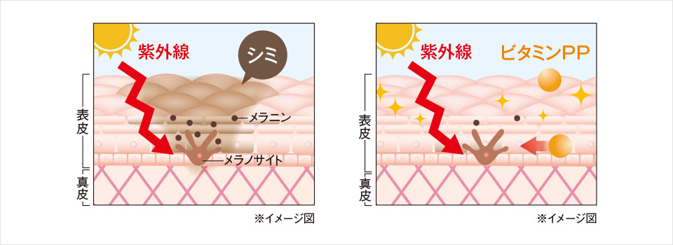 薬用リンクルストレッチジェル[医薬部外品]｜パーフェクトワン｜≪公式≫新日本製薬オンラインショップ