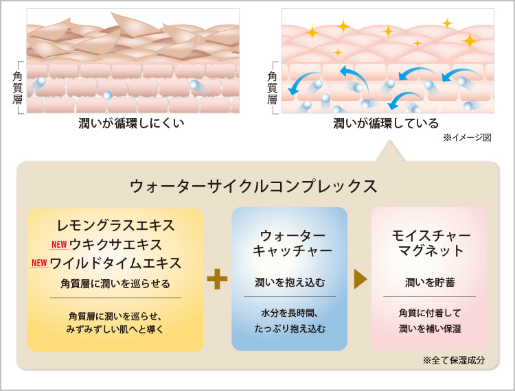 ウォーターサイクルコンプレックス