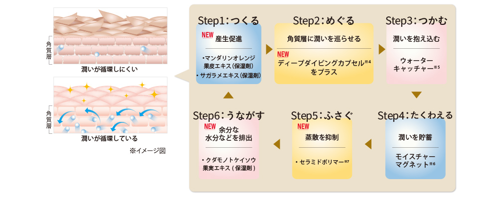 ウォーターサイクルコンプレックスを強化