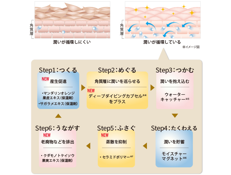 ウォーターサイクルコンプレックスを強化