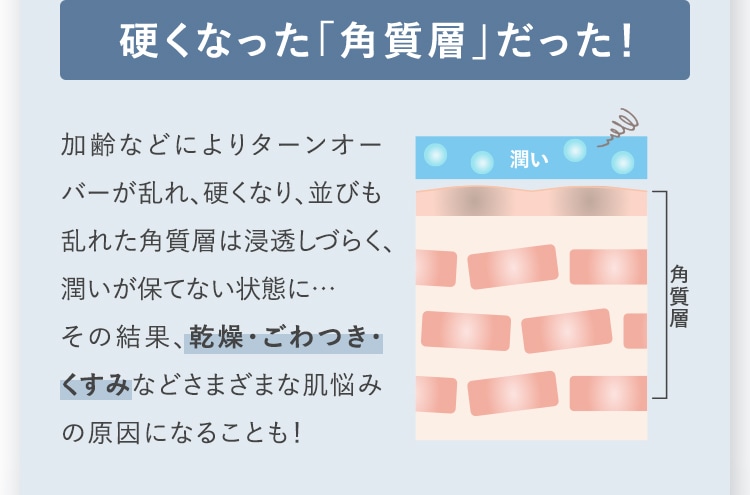 硬くなった「角質層」だった！ 加齢などによりターンオーバーが乱れ、硬くなり、並びも乱れた角質層は浸透しづらく、潤いが保てない状態に…その結果、乾燥・ごわつき・くすみなどさまざまな肌悩みの原因になることも！
