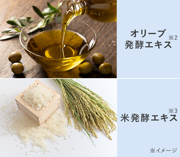 Wの発酵エキスのイメージ