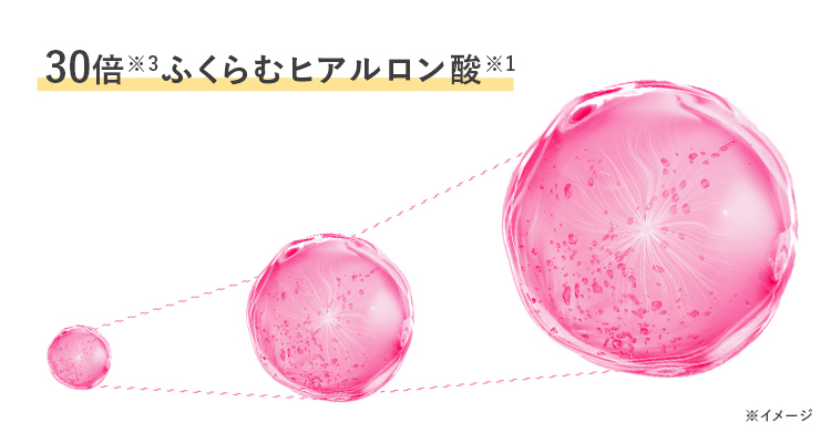 30倍にふくらむヒアルロン酸のイメージ