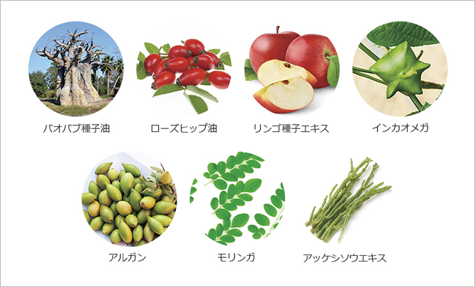 7種の植物オイルをブレンド