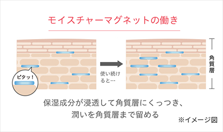 モイスチャーマグネットの働き