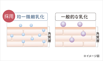 特殊な乳化技術による浸透力