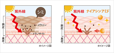 美白！シミを防ぎクリアに冴える