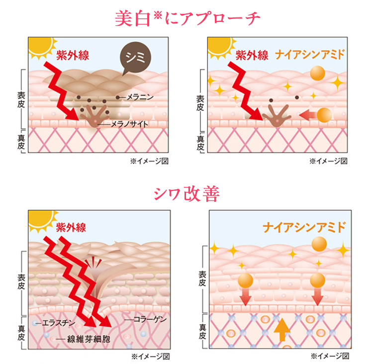 美白・シワにアプローチするナイアシンアミド