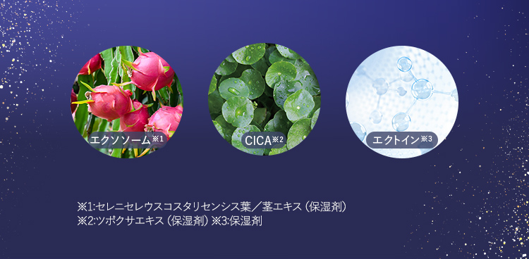 成分画像
